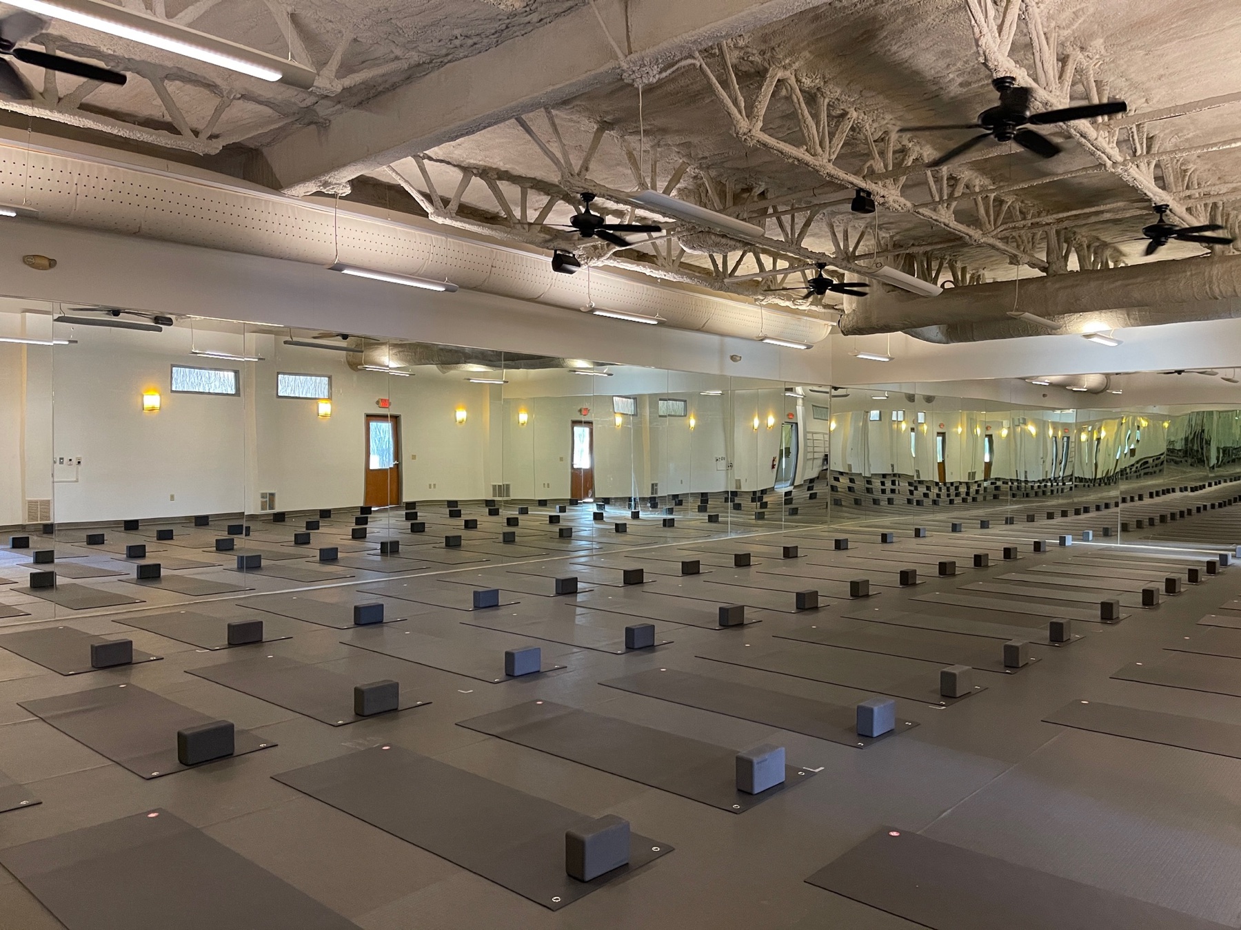 Zebra hot yoga flooring with mats